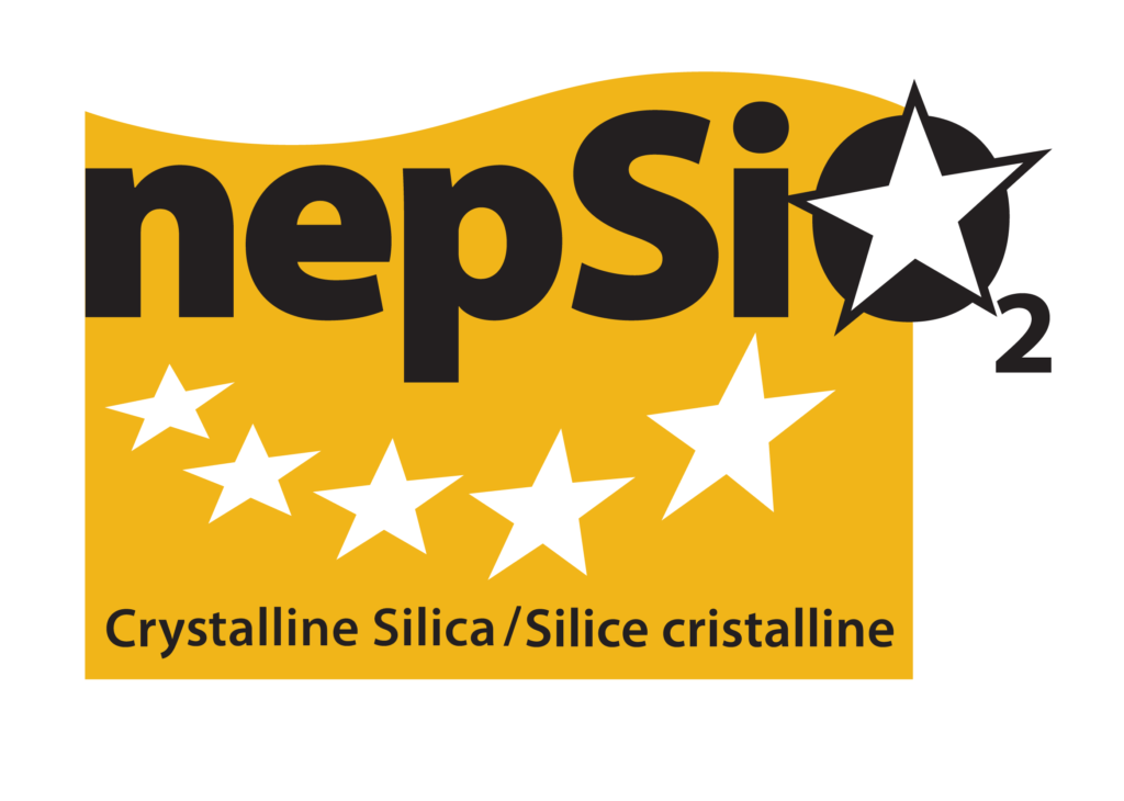 NEPSI project logo